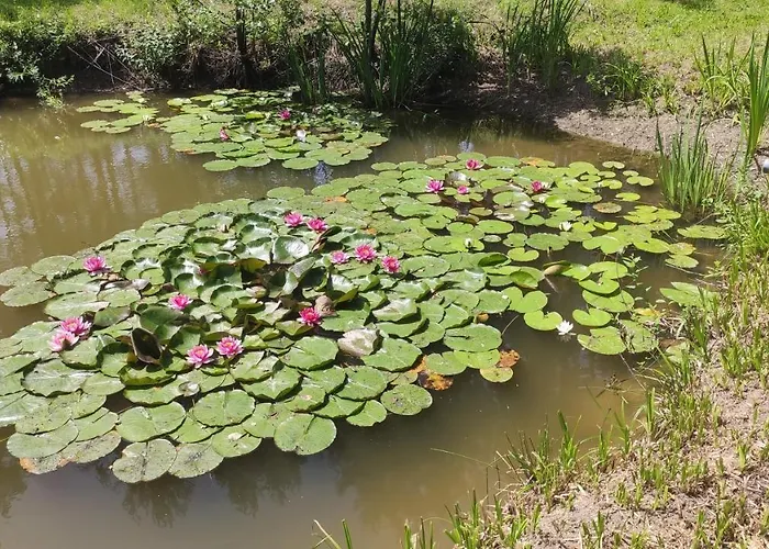 Domek Letniskowy Agroturystyka Sajkiewicz